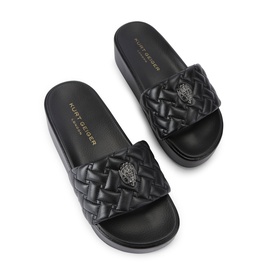 Meena Eagle Platform Slides