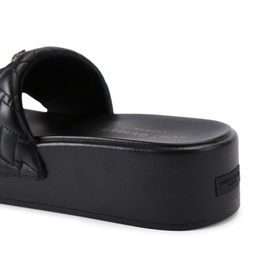 Meena Eagle Platform Slides