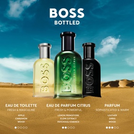 Bold Citrus Eau de Parfum for Men