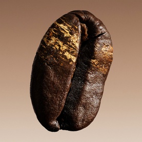 Armani Beauty EDP fragrance concept shot featuring a close-up dark roasted coffee bean with gold detailing on warm brown background