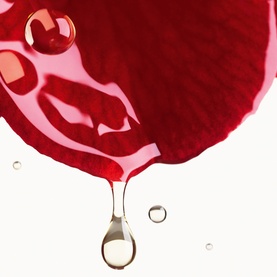 Red Camellia Serum-In-Mist