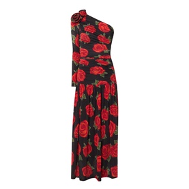 Latin Rose Dress