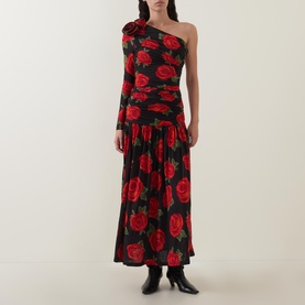 Latin Rose Dress