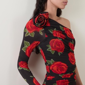 Latin Rose Dress
