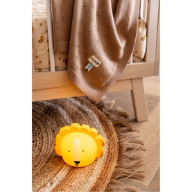 Mr. Lion Night Light