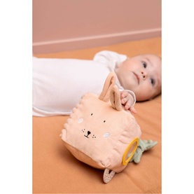 Mrs. Rabbit Activity Cube