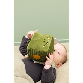 Mr. Dino Activity Cube