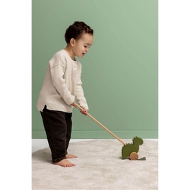 Mr. Dino Wooden Push Along Toy