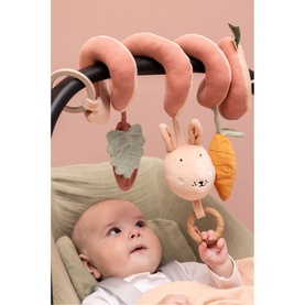 Mrs. Rabbit Activity Spiral
