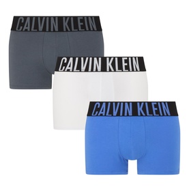 Three-Pack Intense Power Logo Trunks