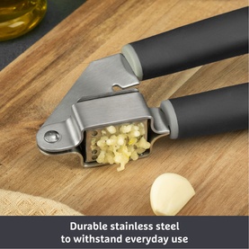 Stainless Steel Garlic Press