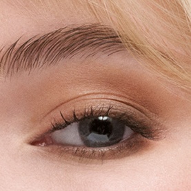 The Essential Eyeshadow Quad