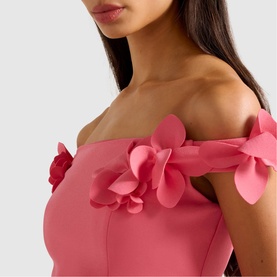 Faye Floral Applique Bardot Top