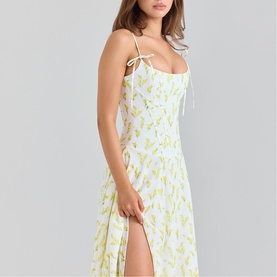 Yvette Printed Flared Dress