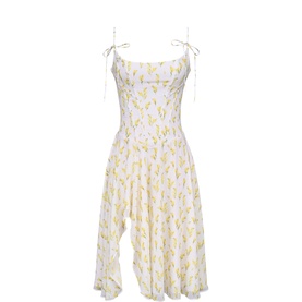 Yvette Printed Flared Dress