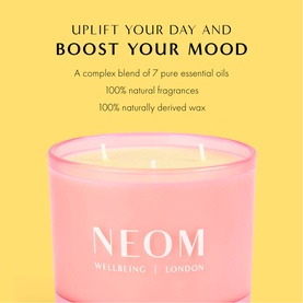 Great Day Three Wick Candle 420g