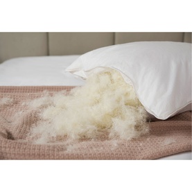Duck Feather Pillow Pair