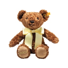 2026 Cosy Year Bear 34cm