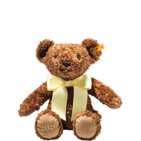 2026 Cosy Year Bear 34cm