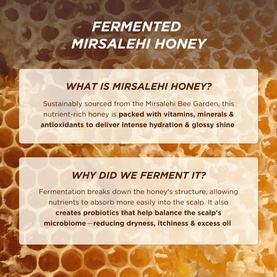 Honey Gloss Ceramide Therapy Hydrating Conditioner