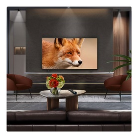 42 Inch OLED 4K Smart TV