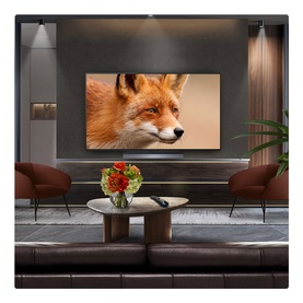 48 Inch OLED 4K Smart TV