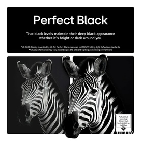 48 Inch OLED 4K Smart Entry TV