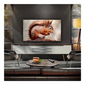 48 Inch OLED 4K Smart Entry TV