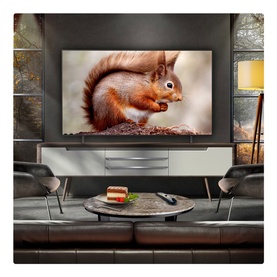 55 Inch OLED 4K Smart Entry TV