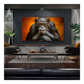65 Inch Gallery OLED TV