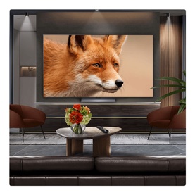 77 Inch OLED 4K Smart TV
