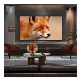 65 Inch OLED 4K Smart TV