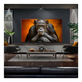 55 Inch OLED TV with Centre Stand
