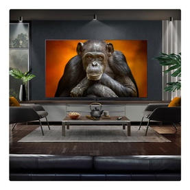 65 Inch OLED TV with Centre Stand