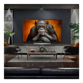 48 Inch OLED TV with Centre Stand