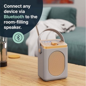 Little Shelford Radio Grey