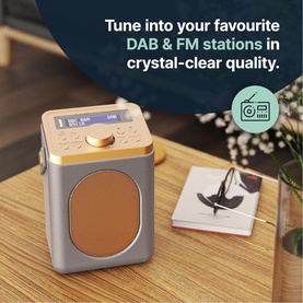 Little Shelford Radio Grey