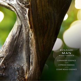 Man Wood Essence Eau de Parfum Refill