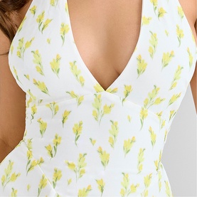 Iris Halter Neck Mini Dress