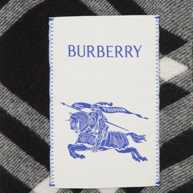 Logo Check Cashmere Fringe Scarf