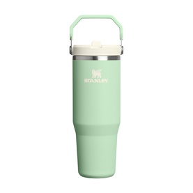 The Pistachio Iceflow&trade; Flip Straw 20 Tumbler 0.89L