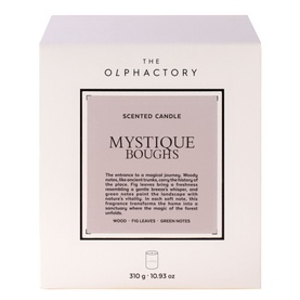 Mystique Boughs Scented Candle 310g