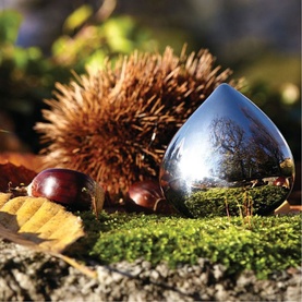 Chestnut Pill Box