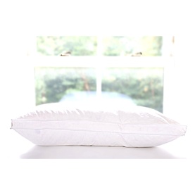 Down Surround Medium to Firm Pillow