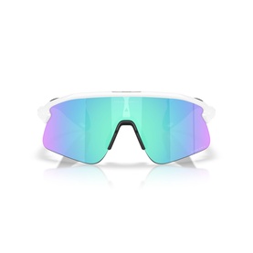 Rectangle Sunglasses OO9517