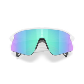 Rectangle Sunglasses OO9517