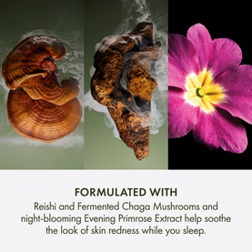Dr. Andrew Weil For Origins&trade; Mega-Mushroom Overnight Moisturiser