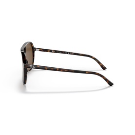 Square Sunglasses RB2198