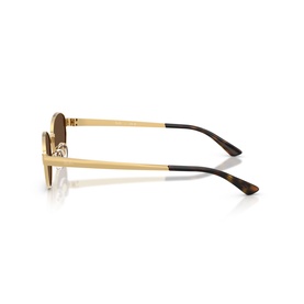 Oval Sunglasses RB3774D