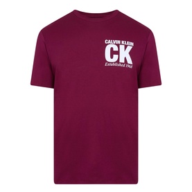 CK Graphic Logo T-Shirt